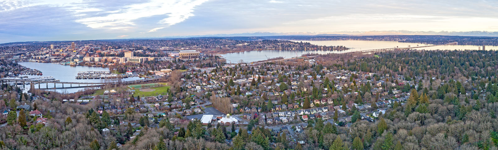An aerial view of Seattle's Montlake neighborhood.
