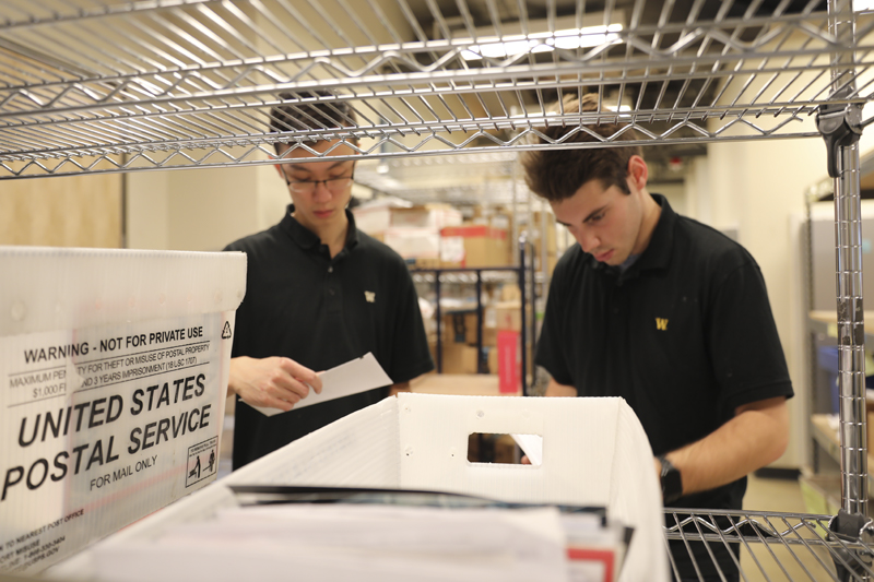Two students in black shirts sorting mail.