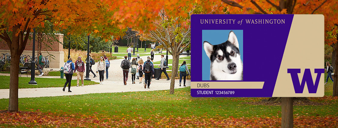 Students walking through campus and a Husky Card with a photo of Dubs.