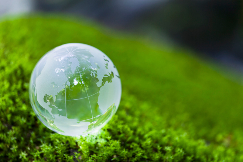 Clear glass globe on bright green moss