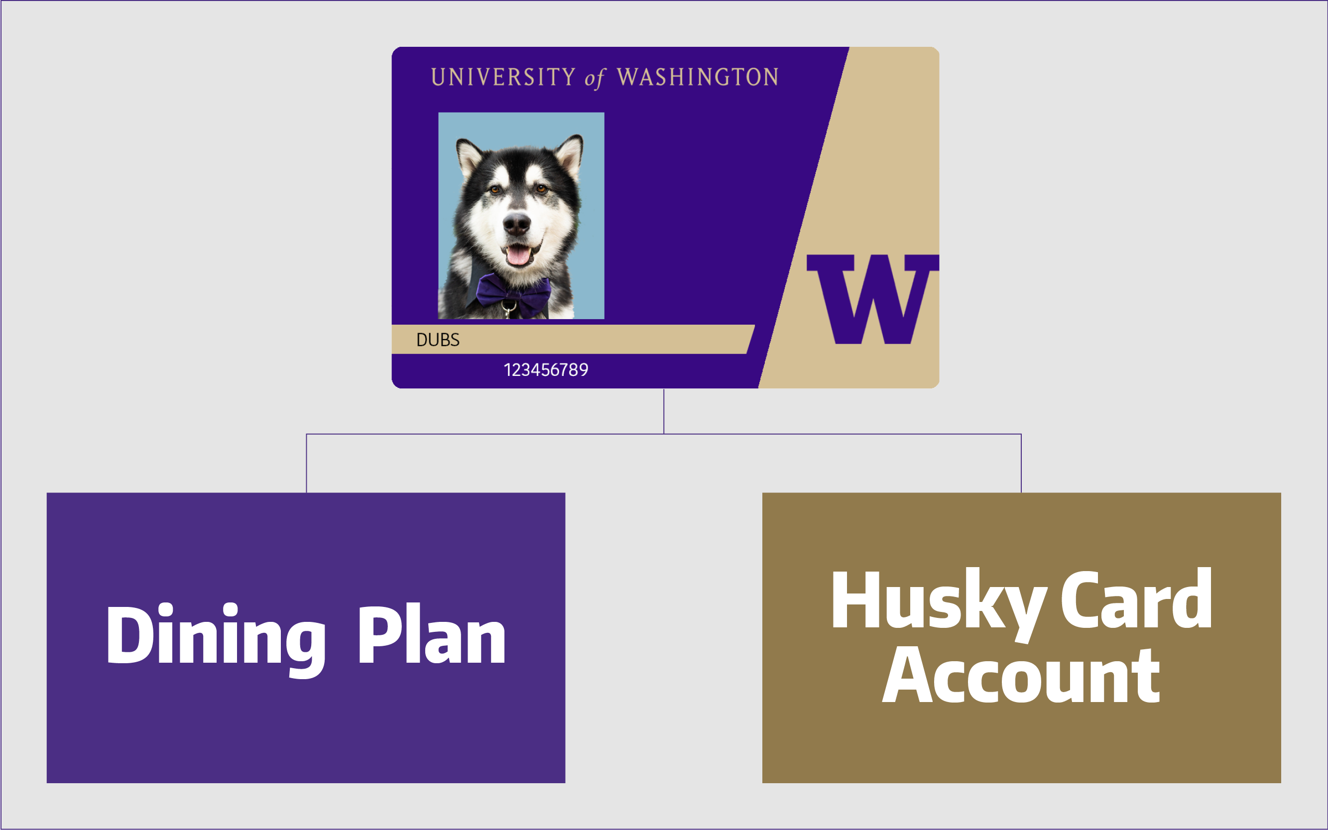 Husky Card, one card with two accounts