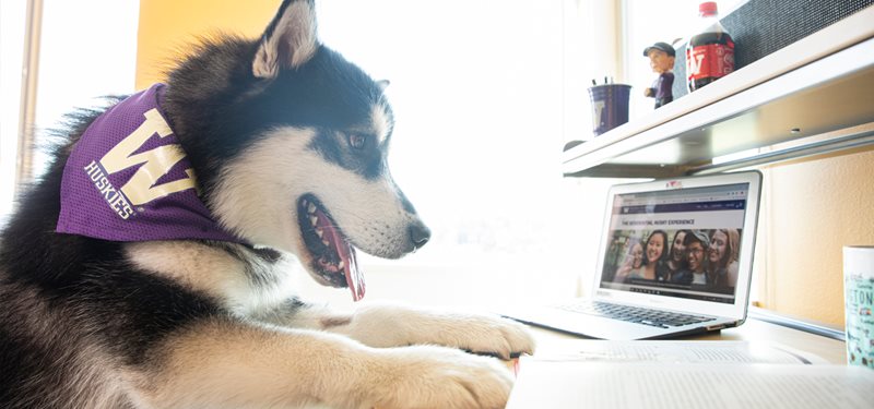 Dubs reading the Residence Hall guide