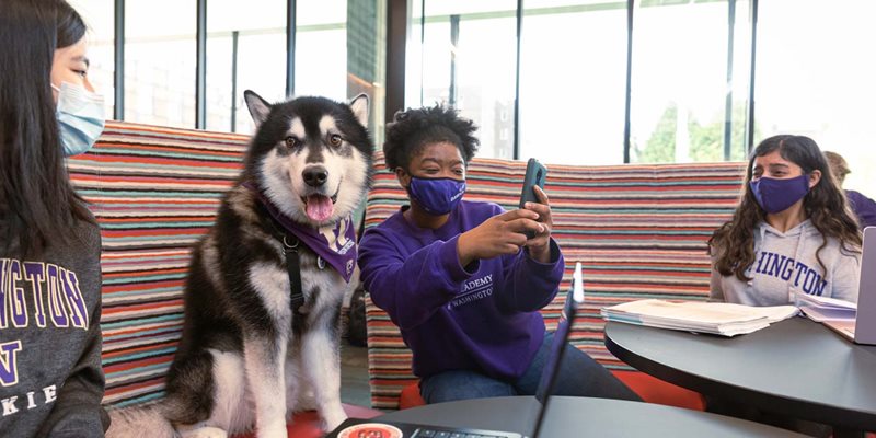 Residents taking selfies with Dubs
