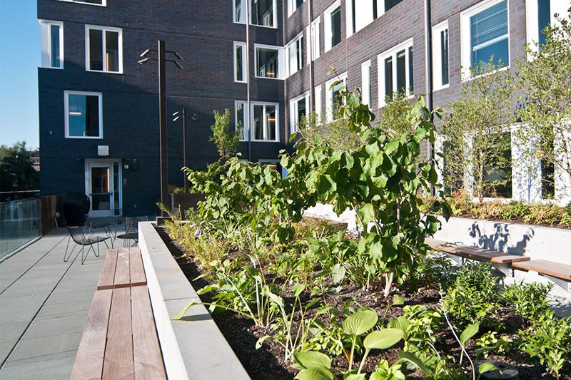 Poplar Hall rooftop deck