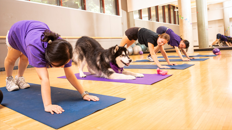 Students doing yoga with Dubs in a studio in Fitness Center West
