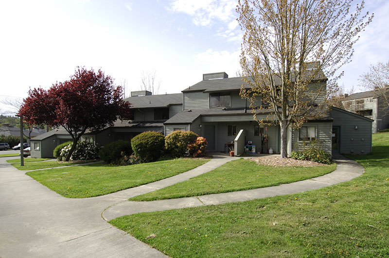 A building with a lawn, trees, and concrete pathways.