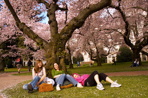 Three students sitting under a tree in the grass