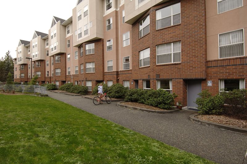 Undergraduate Housing UW HFS