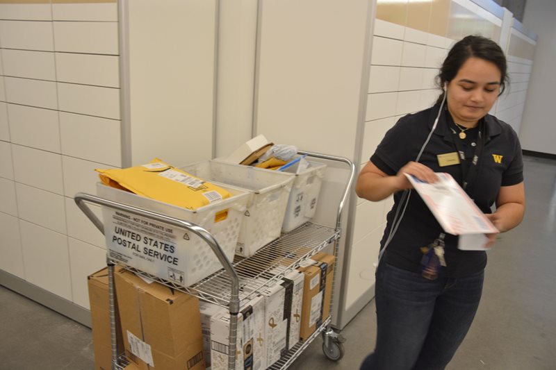 A student unloading mail in the mailroom.
