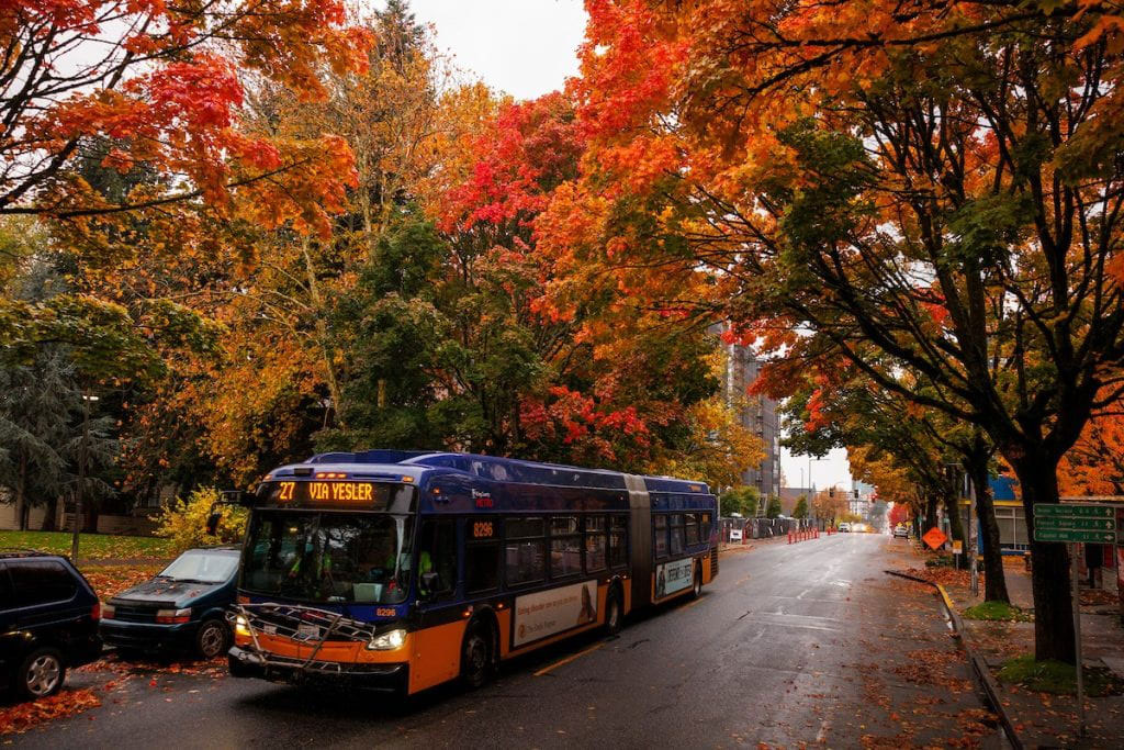 Bus Line in Fall