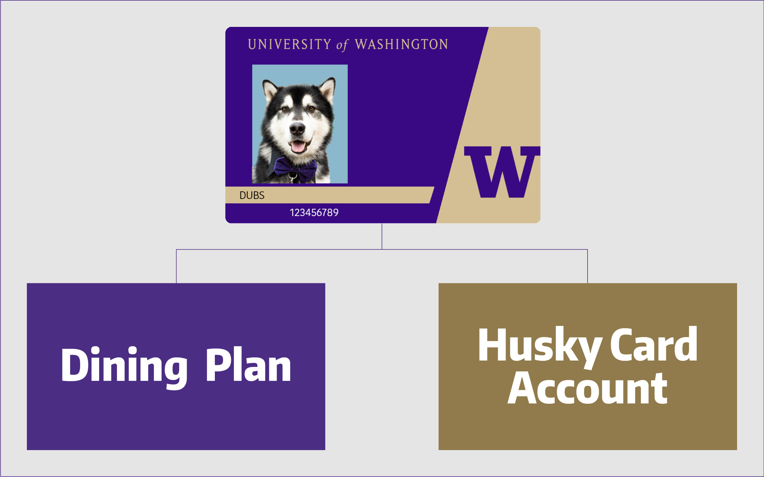 Husky-Card-graphic-2.png