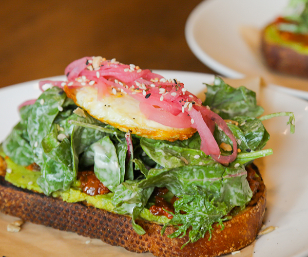 Avocado Toast Decorative
