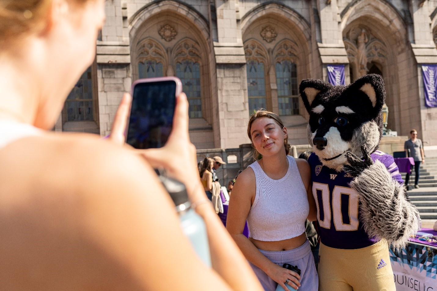 Dawg Daze Harry Husky