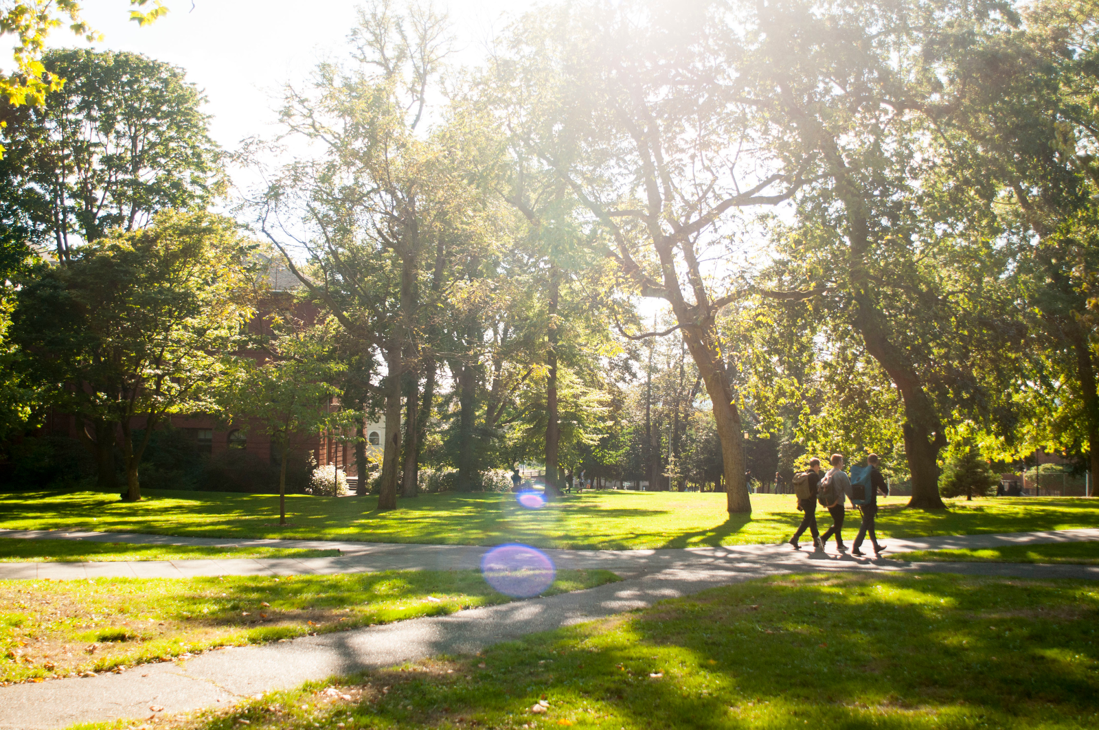 Parrington-lawn_sunny-day_20250508_news-page.png