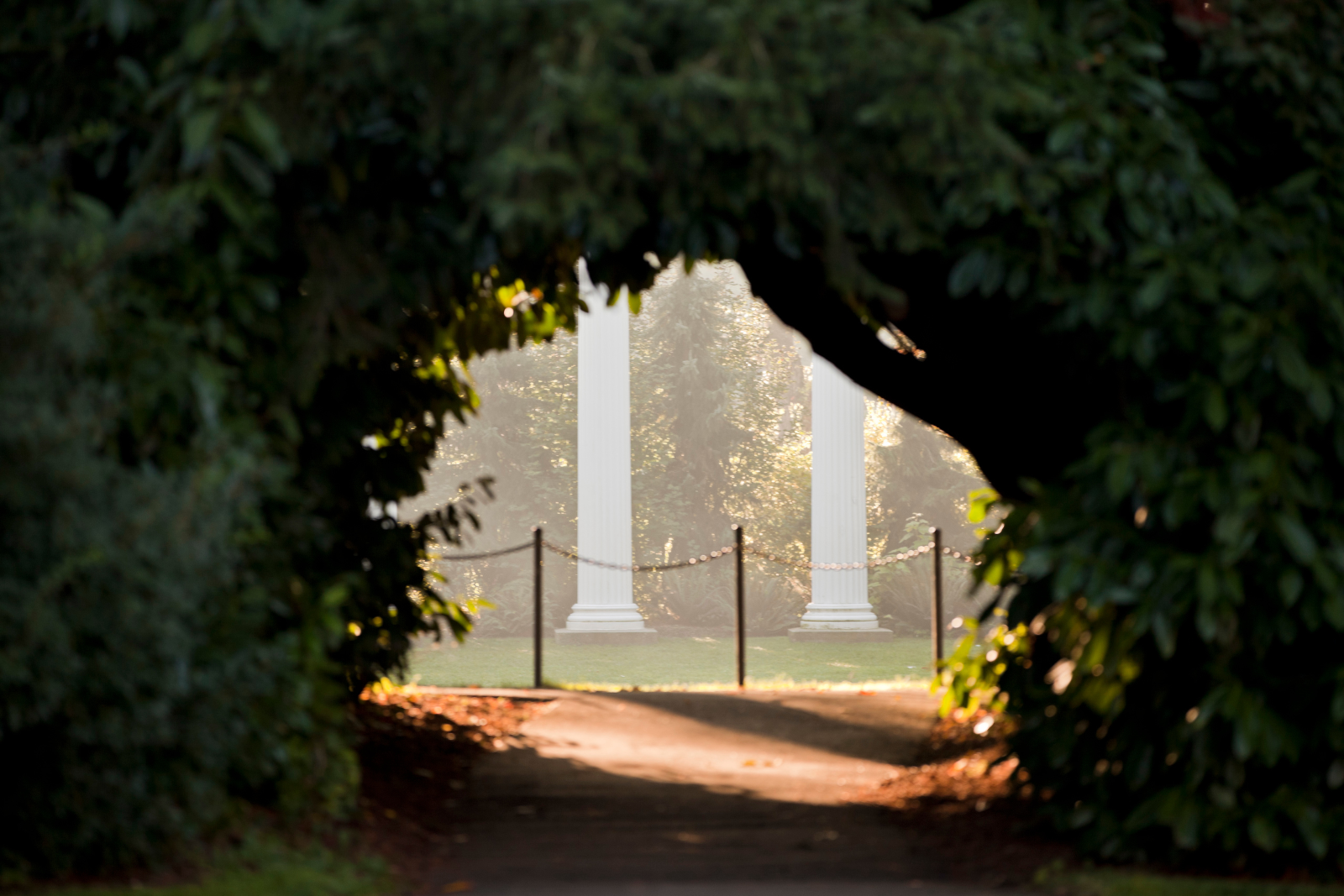 Sylvan-grove_pillars_20250508_news-page.png