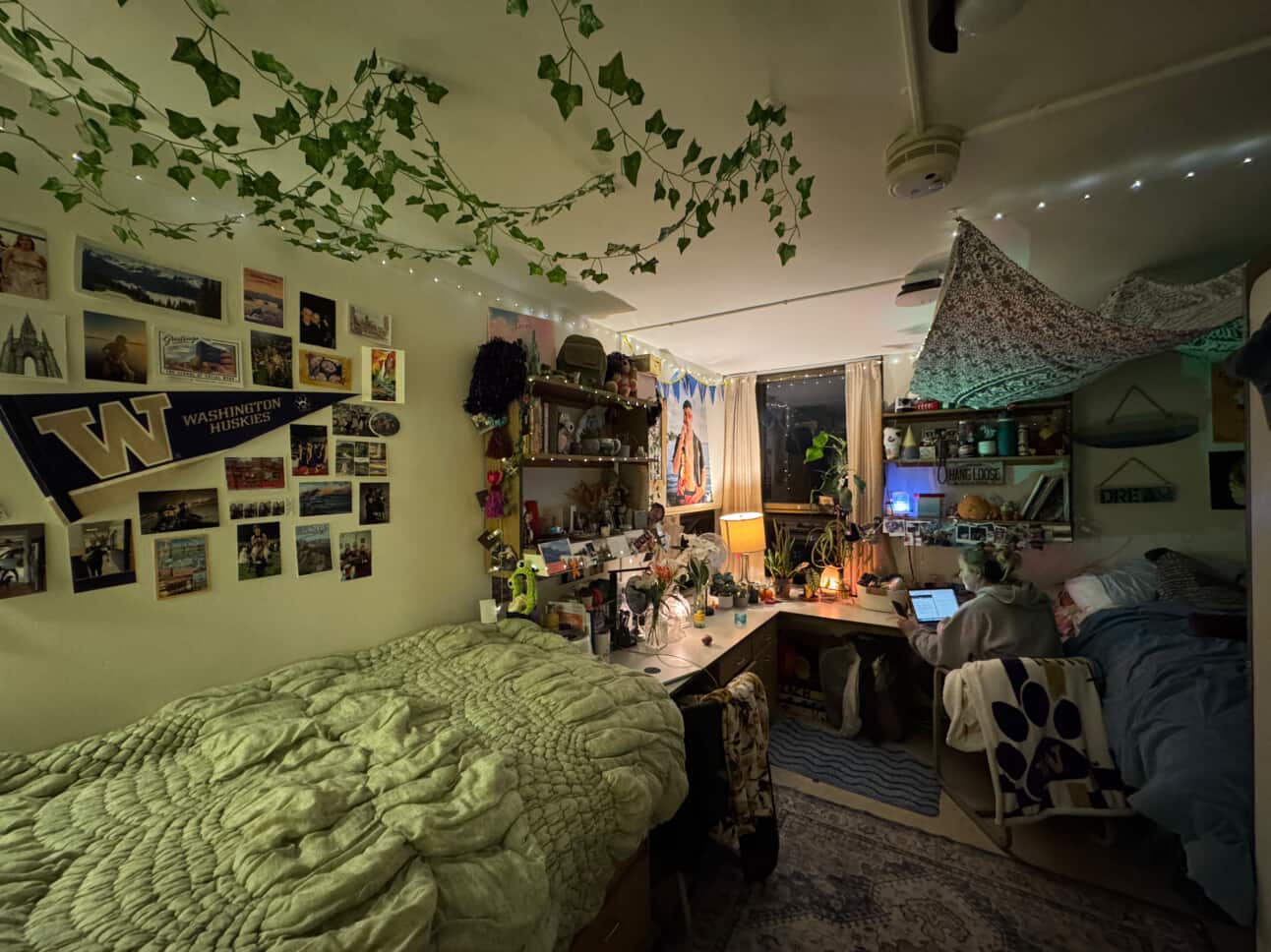 Decorate your Husky Home 